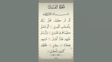 سورة الفيل بصوت الشيخ احمد العجمي