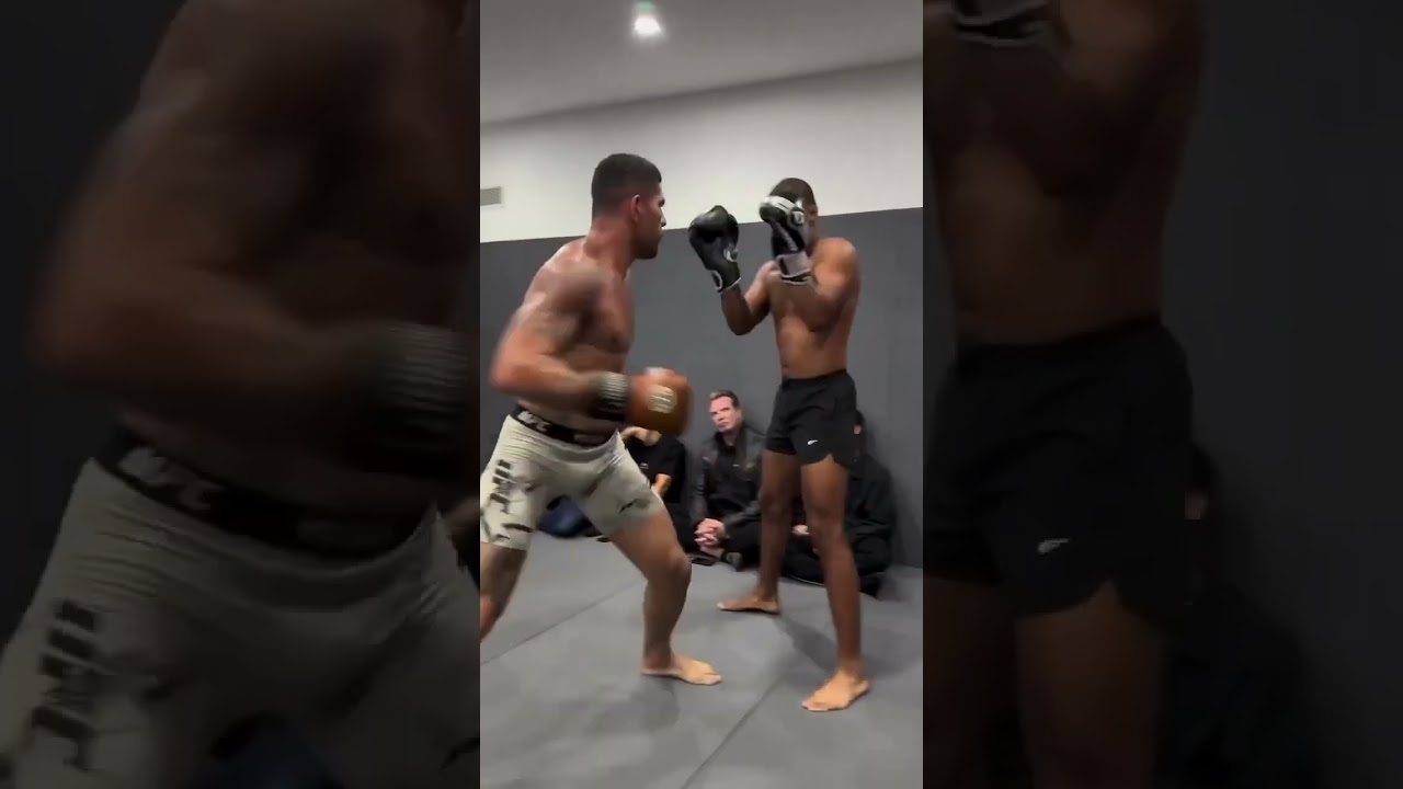 Спарринг Алекса Перейры ⚡️⚡️⚡️ 