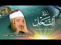 إبداع وخشوع في تلاوة رائعة جدا للشيخ عبد الباسط عبد الصمد من سورة النحل Beautiful Voice إبداع وخشوع في تلاوة رائعة جدا للشيخ عبد الباسط عبد الصمد من سورة النحل Beautiful Voice