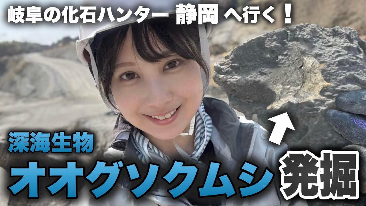 Fossil excavation in Shizuoka! Fossil of the deep-sea creature
