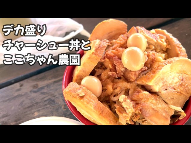 Mega-Sized Chashu Pork Bowl and Coco-chan Farm - YouTube