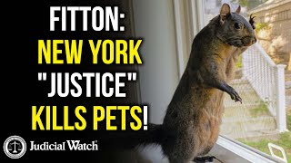 NEW DOCS on Peanut the Squirrel & Fred the Raccoon