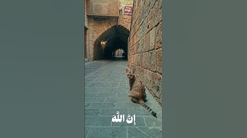 اكتب شيء تؤجر عليه 🤍 #قران #quran #قرآن #مشاري_العفاسي #سورة_غافر