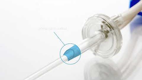 Streamline® Express Animation – Dual Lumen Spike