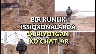 PREZIDENTNI ALDASH UCHUN BARPO QILINGAN ISSIQXONALAR