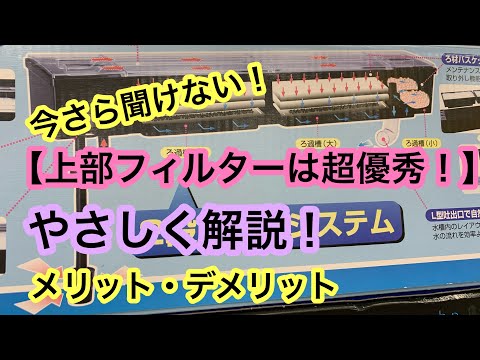 Top filters are super excellent!!] We will explain the features of