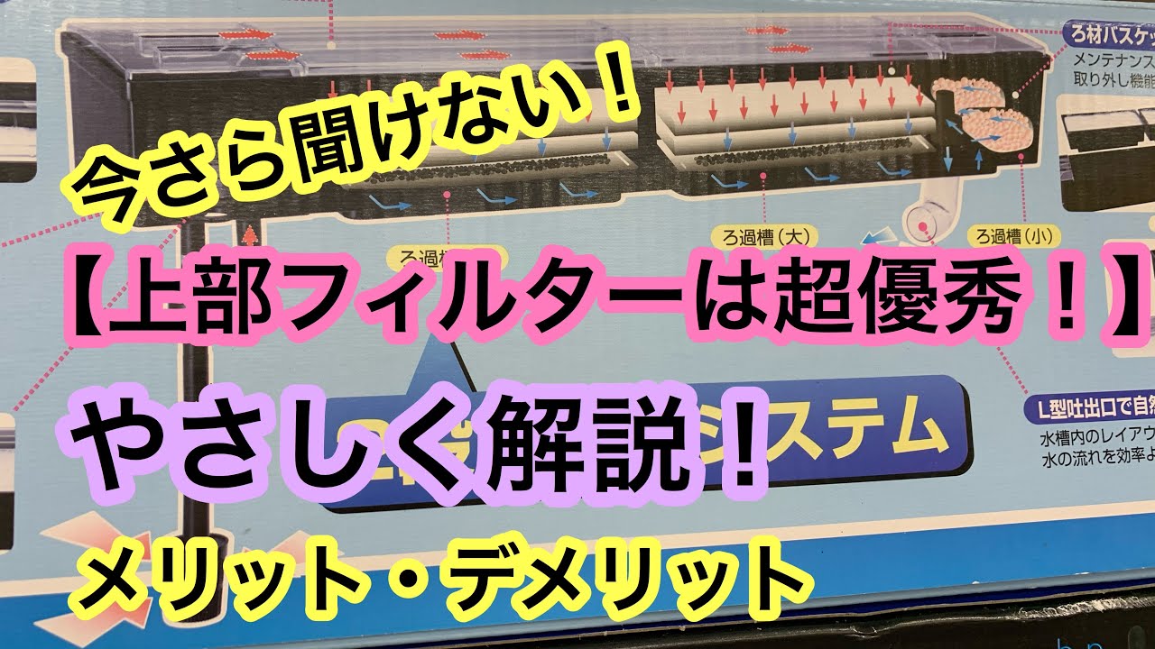 上部フィルターは超優秀です いまさら聞けない上部フィルターの特徴をわかりやすく解説します Youtube