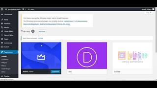 How to Install Salient Theme and Import Demo Wealth