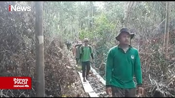 Tim BBSKDA Riau Berhasil Bongkar Praktik Pembalakan Liar Suaka Margasatwa Kerumutan #iNewsPagi 08/09