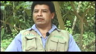 Tocache. la otra cara... screenshot 2