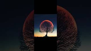 I Got No Time (lyrics) (mmsub)