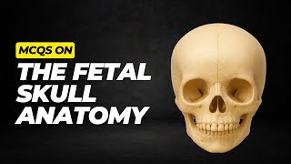 Fetal Skull Anatomy Quiz | High-Yield MCQs for Nursing & Midwifery Students