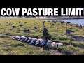 COW PASTURE GOOSE HUNTING | MISSOURI GOOSE LIMIT (BIG SILHOUETTE DECOY SPREAD)