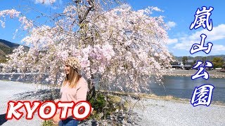 KYOTO ARASHIYAMA PARK CHERRY BLOSSOMS WALKING FROM TOGETSUKYO BRIDGE 2019   4K 60FPS HDR