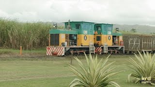 Sugar Cane Trains Australia South Johnstone Crossings