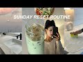 Vlog  sunday reset routine   spring deep cleaning outdoor activities night closing shift