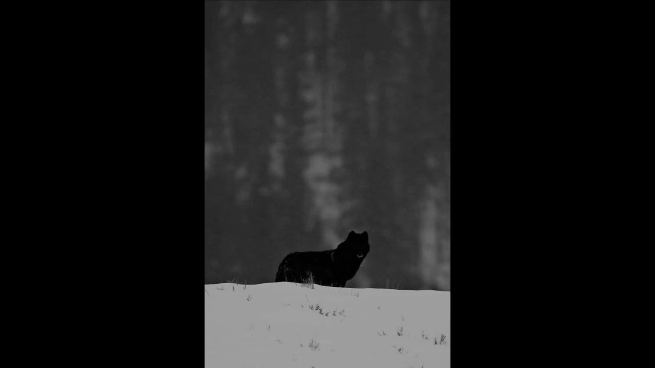 (FREE) Future x Drake Type Beat (HARD) - 