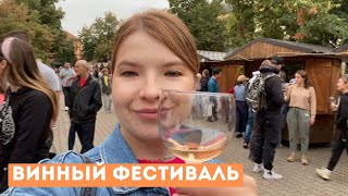 Винный фестиваль в Сремских Карловцах | Русская речь везде :D