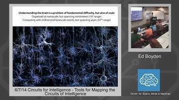 6/7/14 Circuits for Intelligence - Ed Boyden: Tools For Mapping the Circuits of Intelligence