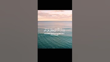 ما تيسر من سوره ابراهيم بصوت القارئ اسلام صبحي ❤️
