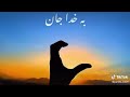 طاهر شباب آهنگ گله دارم به خدا جان گله دارم طاهر شباب آهنگ گله دارم به خدا جان گله دارم