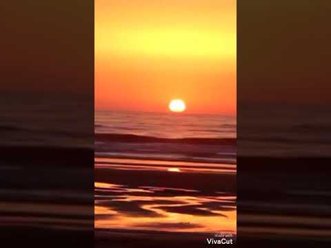 حاله واتس اغنيه غريب الحب رامي صبري