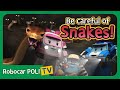 Be careful of Snakes! | Robocar Poli Clips