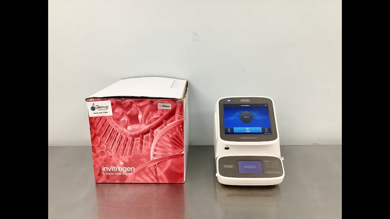 Видео с электрофорезом Thermo E Gel Power Snap Plus, идентификатор 27684