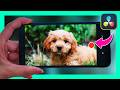 How to Color Grade PHONE FOOTAGE - For Total Beginners