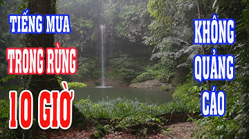 Tiếng mưa trong rừng bên con suối cùng với tiếng sấm chớp tự nhiên-Ngủ ngon-thư giản-video HD 10H