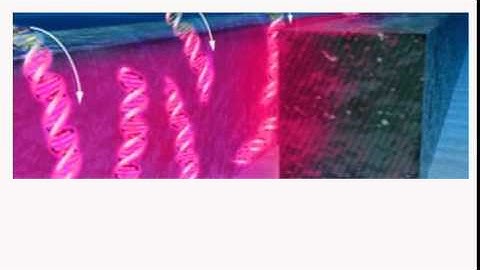 Physicists Create Tractor Beam Made Of Water