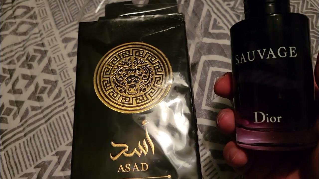 Lattafa asad zanzibar. Lattafa asad zanzibar
