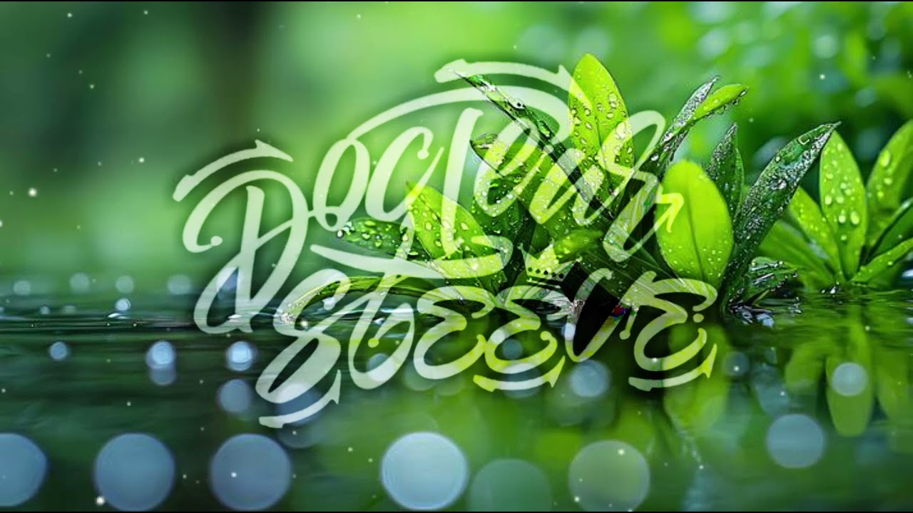 DR STEEVE • PERDONAME - ZOUK REMIX (202V).