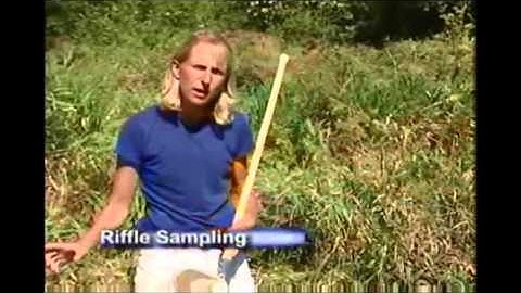 Macroinvertebrates video