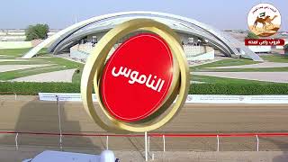ش    السباق التراثي  النايد ل  عبدالله علي عبدالله المسافري           مهرجان ختامي الوثبة        سمعها