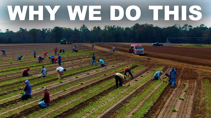 On food and immigration thumbnail