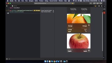 Create Image Classifier Model using using macOS Playground