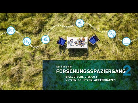 Video: Vergleich der Werte der Bilanzposition in üblicher und vereinfachter Form