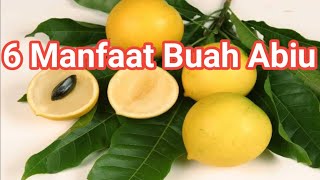 6 Manfaat Buah Abiu