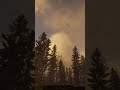 #sonsoftheforest #theforest