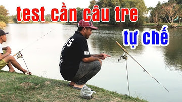Câu Cá Rô Phi Bằng Cần Câu Tre Tự Chế Cá Kéo Muốn Rớt Cần | Tâm Râu Vlog #102