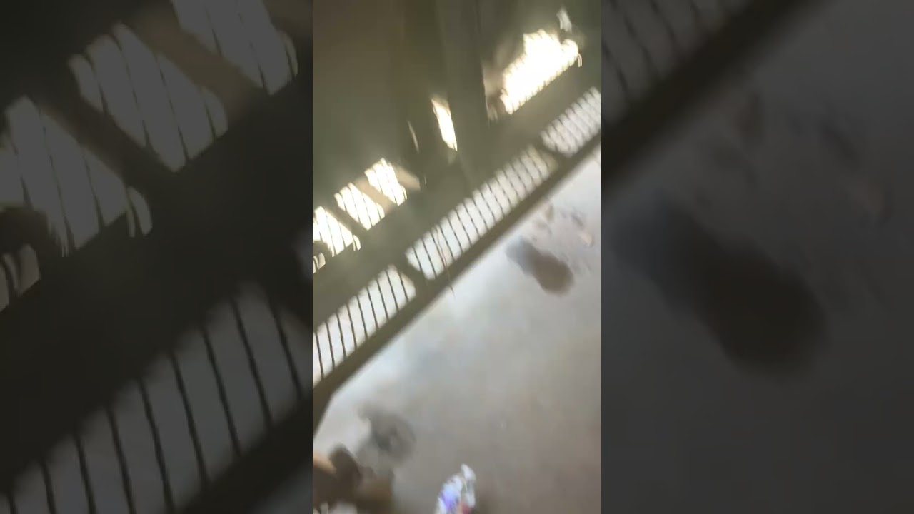 DIESEL DEUTZ Best Welder Fuel Return Lines Leaking (Common Problem) 