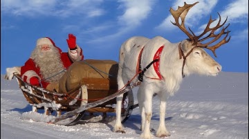 Santa Claus for kids 🦌🎅 Best reindeer rides of Father Christmas in Lapland Finland for children