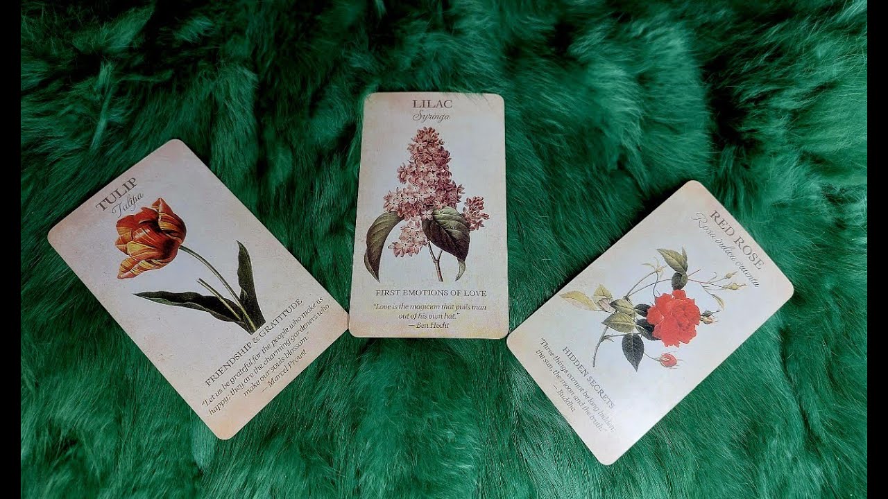 NGƯỜI SẼ CÙNG BẠN XÂY DỰNG MÁI ẤM GIA ĐÌNH LÀ AI? KHI NÀO HỌ ĐẾN?  @EvelynTarot