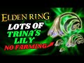 Trinas lily location  best area to get a lot of them without farm patch 109  elden ring