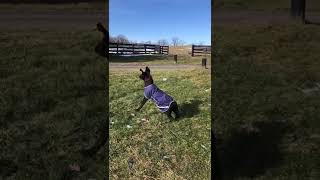 Fun-loving Farley!