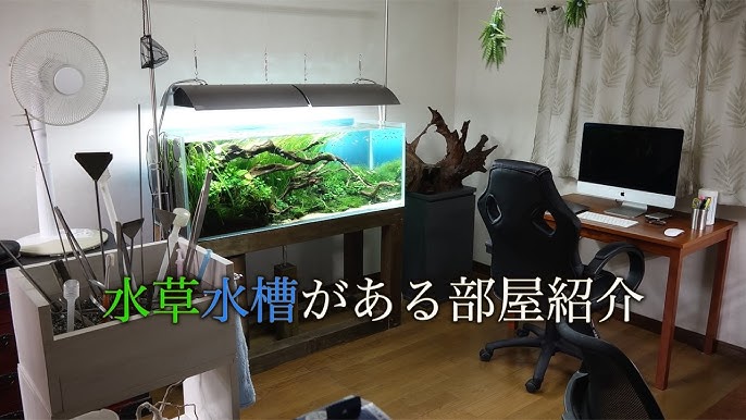 Ada新商品 ライトスクリーン紹介 後ろから光がぽわ と出てきてなんか綺麗です Youtube Ada新商品 ライトスクリーン紹介 後ろから光がぽわ と出てきてなんか綺麗です Youtube