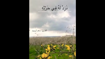 الله لطيفٌ بعباده.. - تلاوة خاشعة من سورة الشورى للقارئ: سعد أزويت
