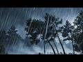 Heavy Rain and Strong Wind Sounds at Night 🌧️💨 | Deep Sleep, Relax, Stress Relief ASMR FOR SLEEP