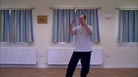 16 Step Yang Style Tai Chi Form - Sifu Paul Nathan